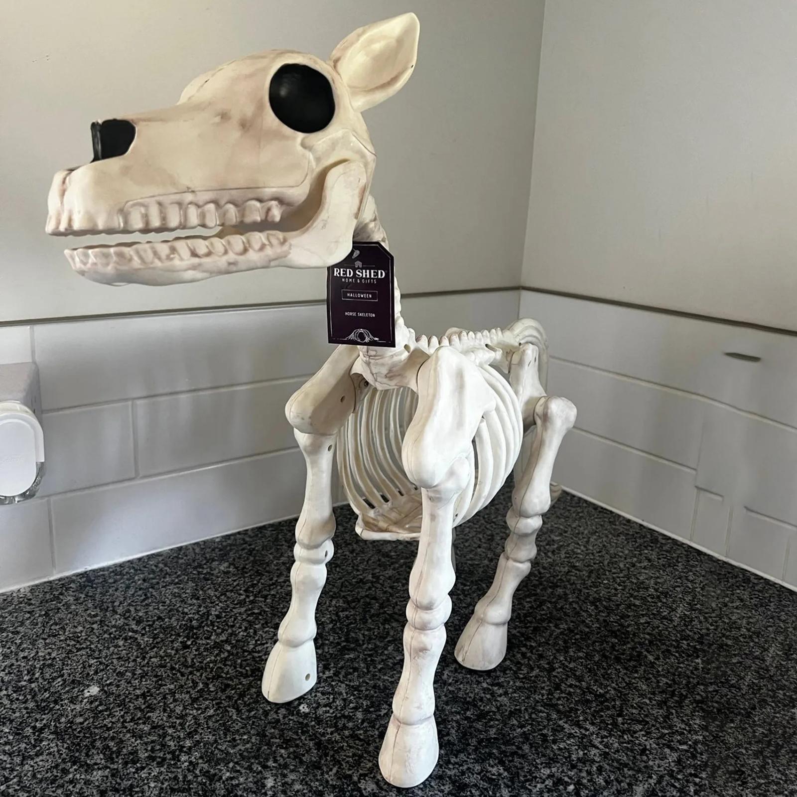 Halloween Horse Skeleton Figurine Skeleton Statue for Desk Party Centerpiece