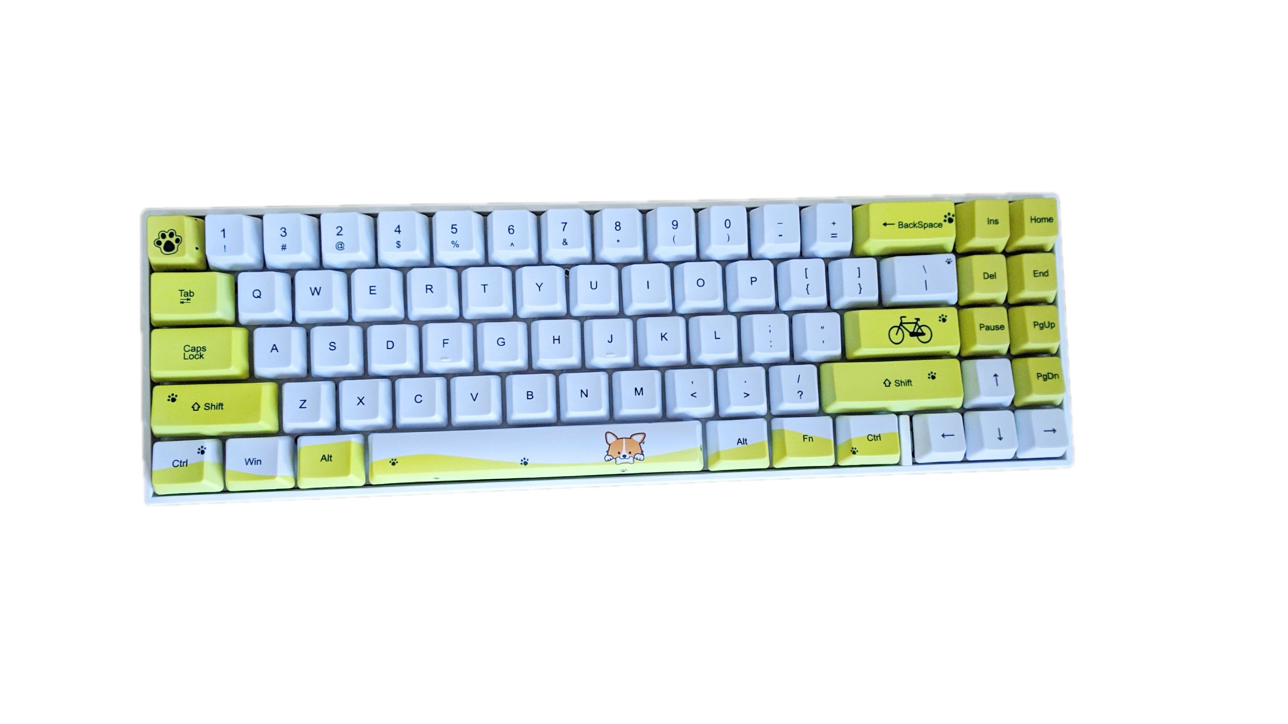 Bàn Phím Cơ Không Dây RK71 Phiên Bản Giới Hạn Nhiều Hoạ Tiết. Keycap PBT, công nghệ in Dye Sub. - Chính hãng Royal Kludge. Đủ màu sắc và Switch.