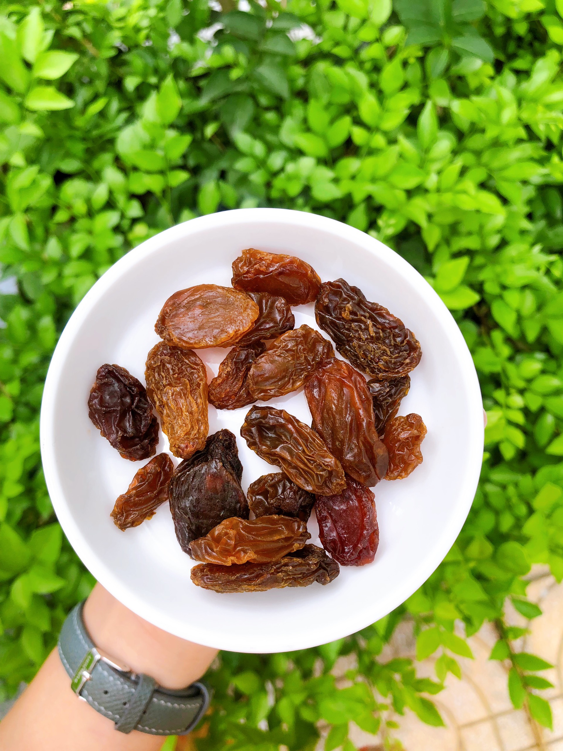 Đĩa nước chấm, gia vị - Mono - Erato - Hàng nhập khẩu Hàn Quốc