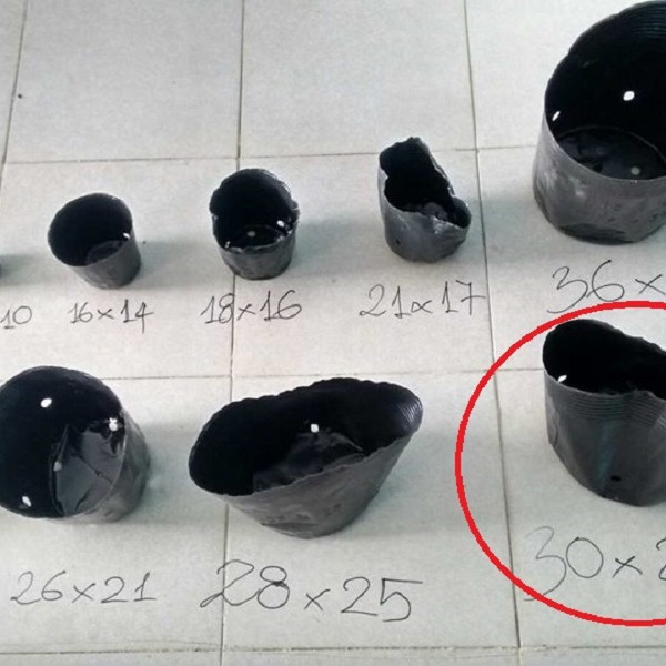 1KG CHẬU NHỰA MỀM ƯƠM CÂY 30x28 - BỊCH, TÚI BẦU 30x28, 1kg = 30 chậu