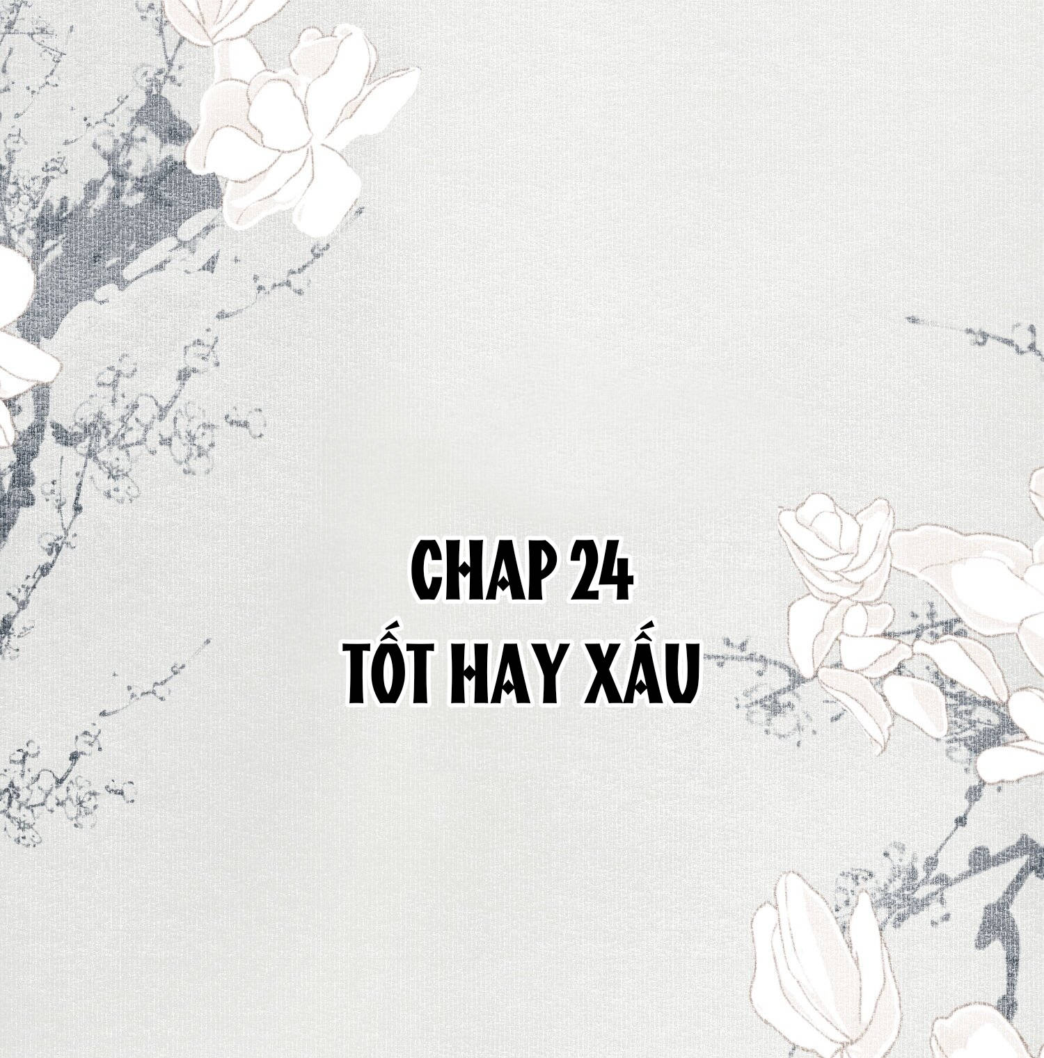 không cẩn thận cứu phải kẻ thù của giang hồ chapter 24 2