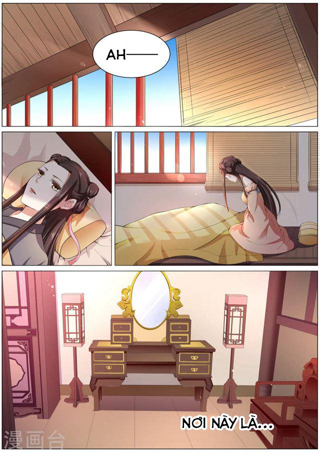 bạch chỉ y tiên chapter 1 6