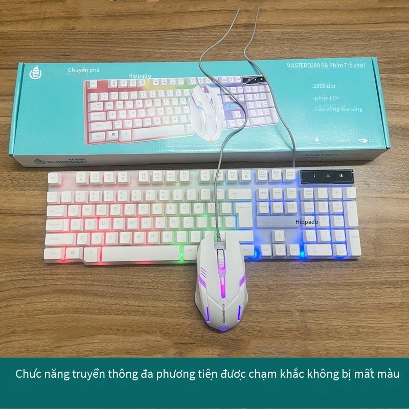 Phong cách mới nhất của máy tính bàn phím có dây dạ quang văn phòng tại nhà đèn nền bàn phím chuột usb cài đặt và giao hàng