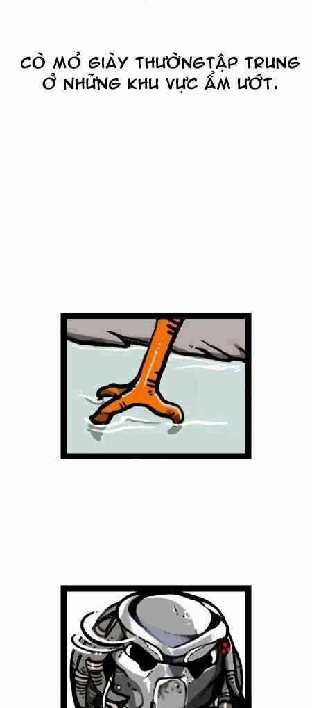 earth, human, and animal chapter 14 10