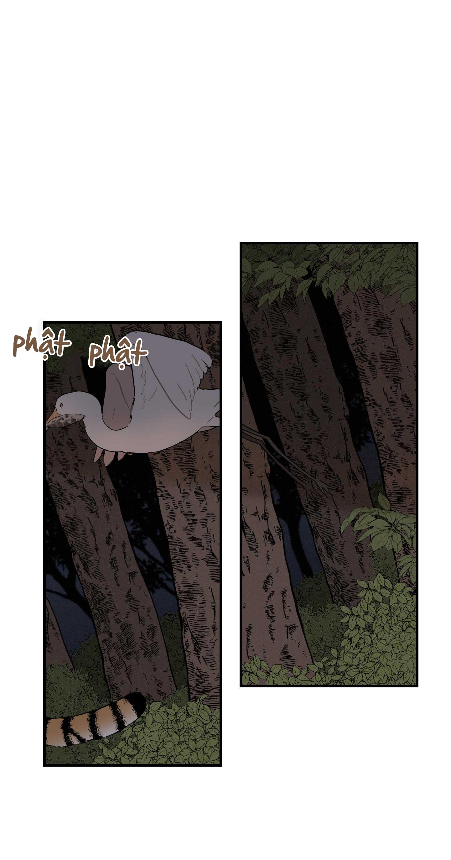 đường hoa liên kiều rơi chapter 30 33