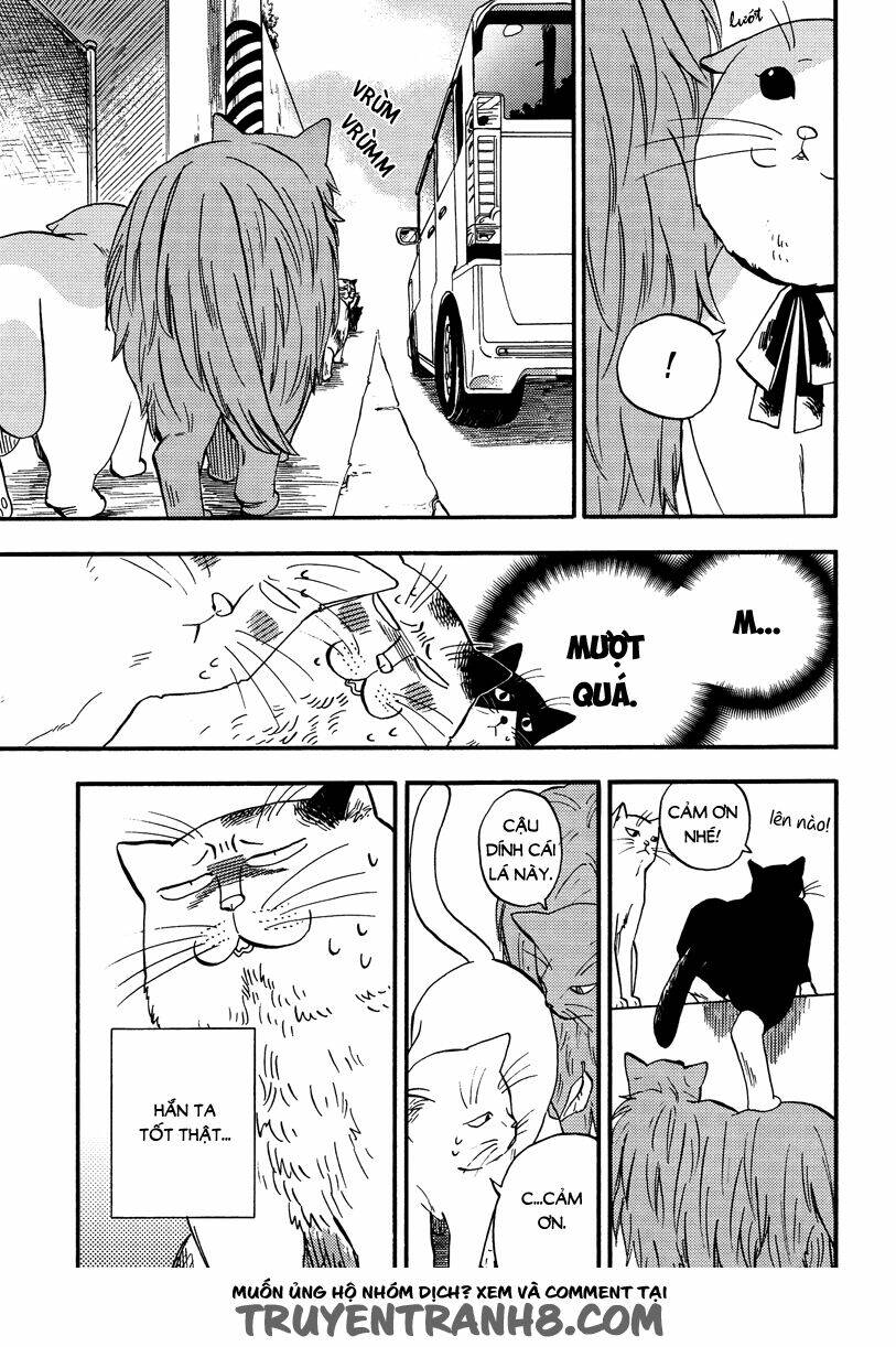 tui là busamen! chapter 5 10