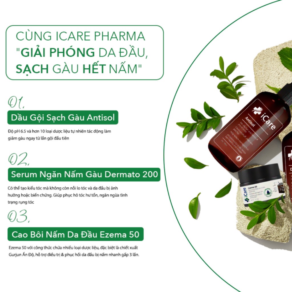 Dầu Gội iCare Pharma Antisol dược liệu pH 6.5 làm sạch gàu, giảm ngứa và bết tóc 240ml