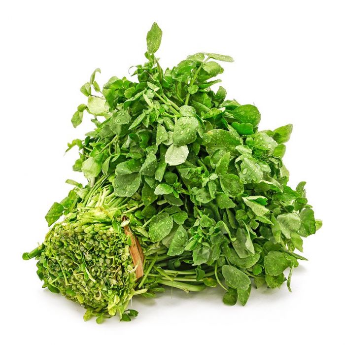 Hạt Giống Xà Lách Xoong Mỹ - Gói 1g - Dễ Trồng, Ưa Ẩm, Sinh Trưởng Mạnh VTNN Nông Điền Trang
