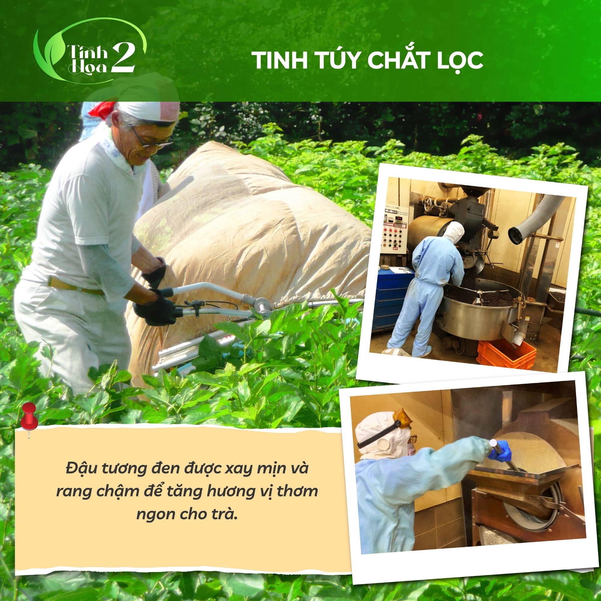 Trà Đậu Tương Đen - Hỗ Trợ Đẹp Dáng Đẹp Da - Chuẩn Hàng Nhật - Yuzuha Official Shop