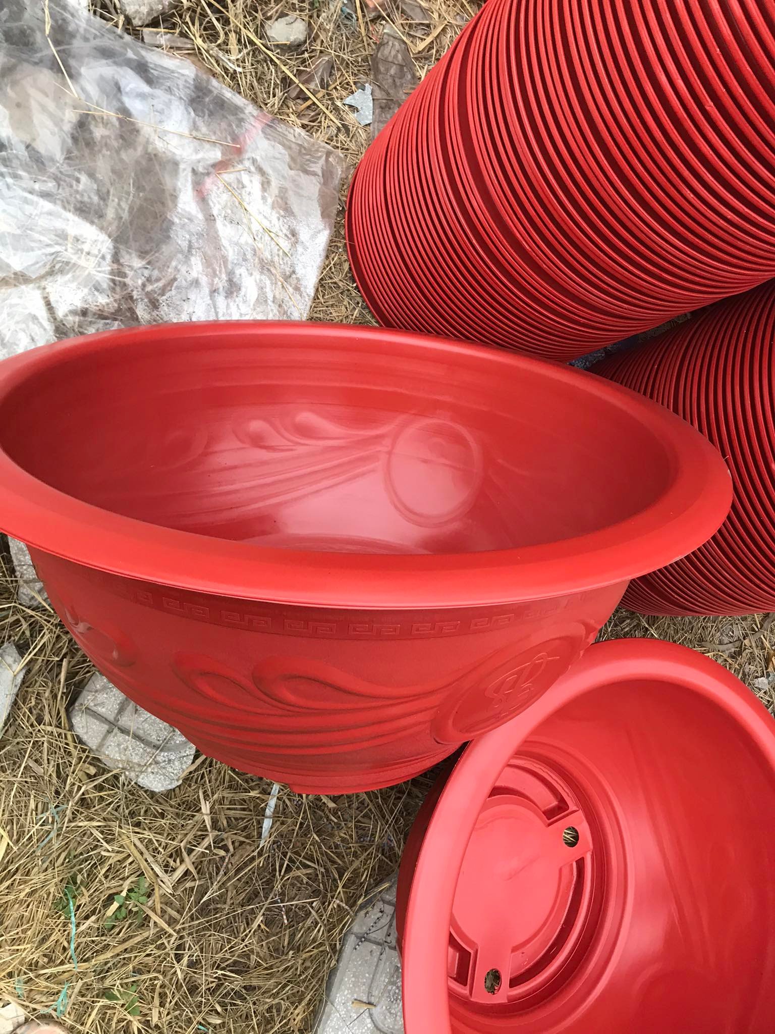 10 Chậu Trồng Cây Hoa ,Cây Cảnh Phúc Lộc Thọ T38
