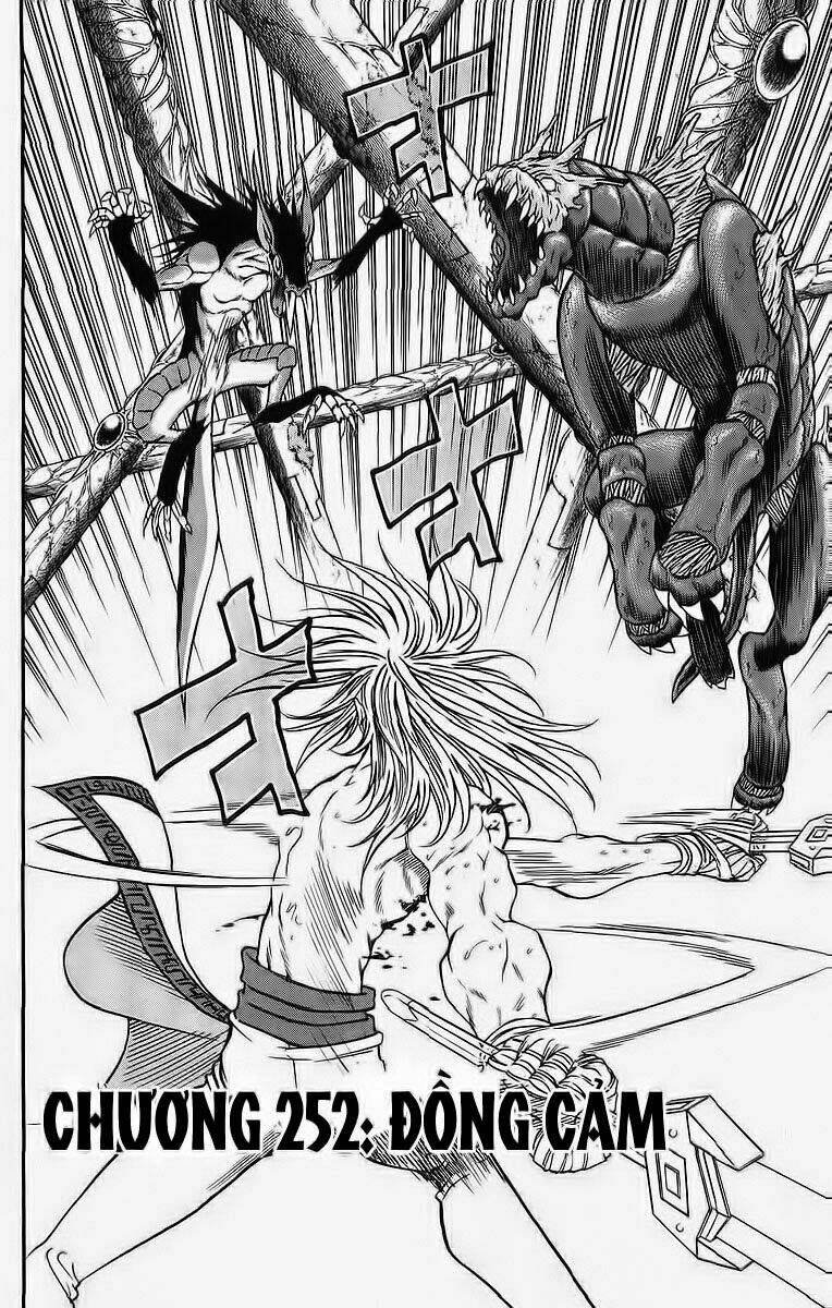 vua trên biển chapter 252 3