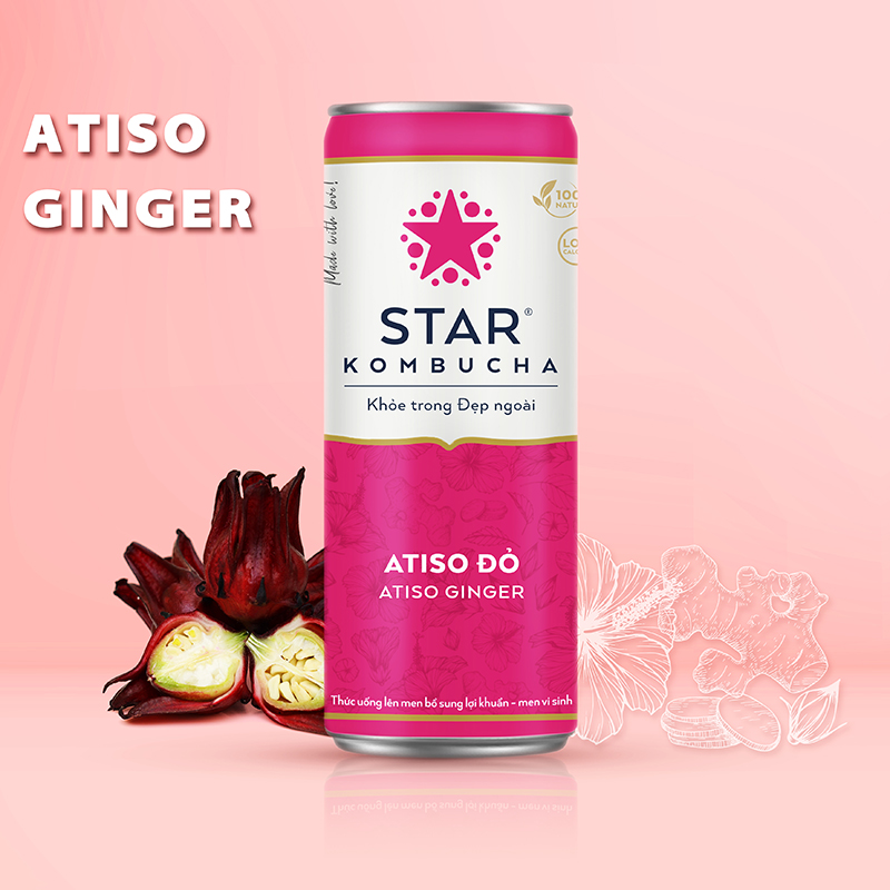 Lốc 6 lon thức uống lên men STAR KOMBUCHA Atiso đỏ / Atiso Ginger (250ml/lon)