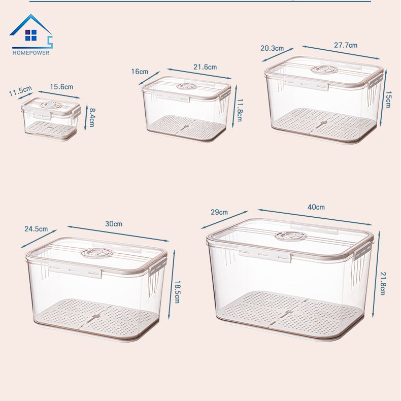 Hộp nhựa đựng thực phẩm Homepower trong suốt có khay lót đáy giúp ráo nước, chất liệu cao cấp, an toàn cho sức khỏe