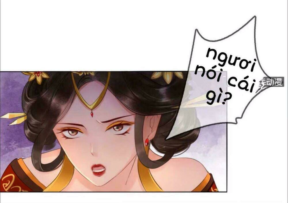 sủng phi của vương chapter 19 11