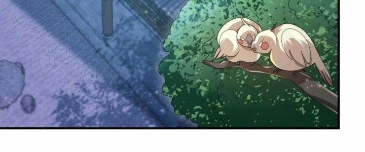 mỗi nữ đồ đệ đều muốn giết ta chapter 41 8