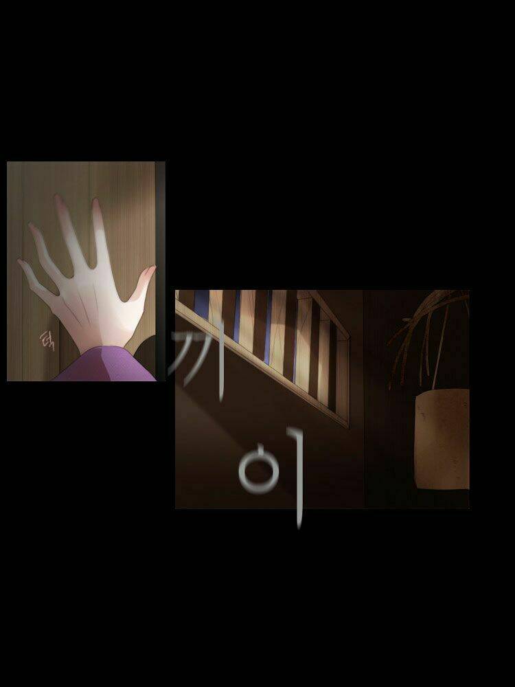 12 nights chapter 2 11