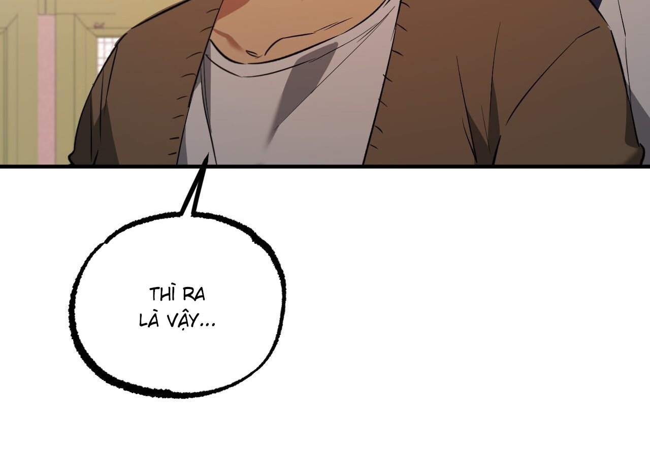 những chú thỏ của hapypy chapter 62 271