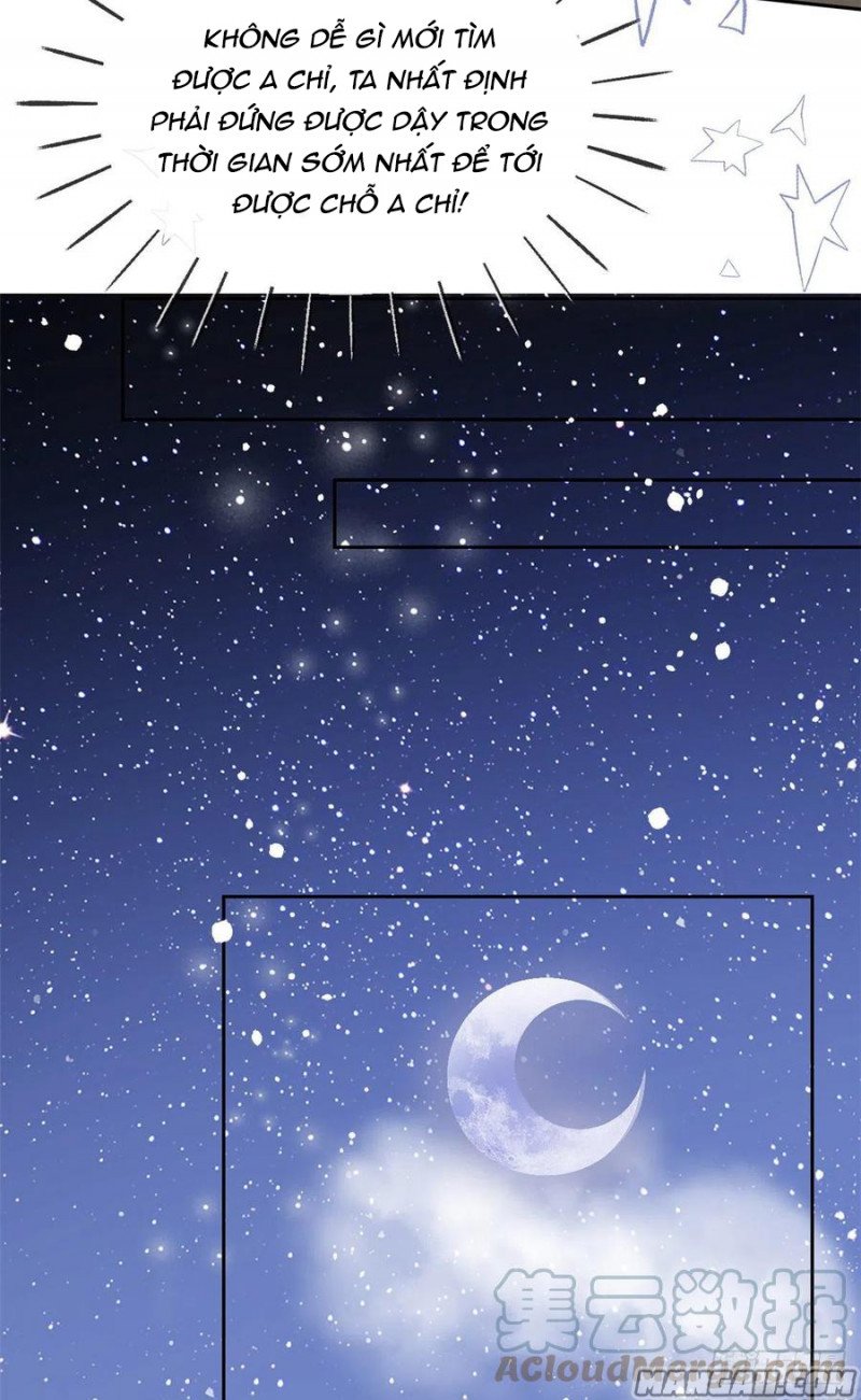 đoàn sủng lão đại ba tuổi rưỡi chapter 139 11