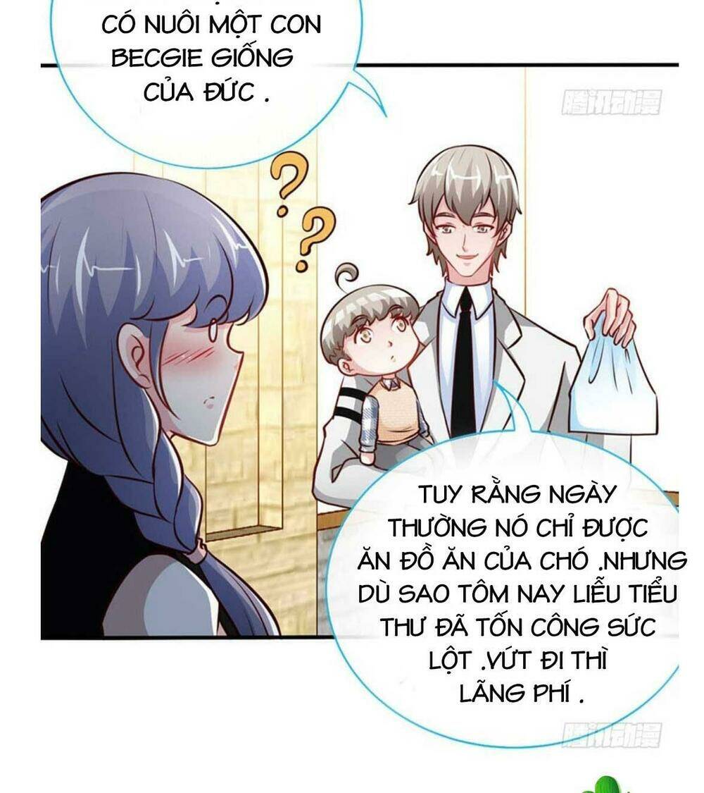 truy nã toàn cầu truy thê về sủng chapter 65.1 17