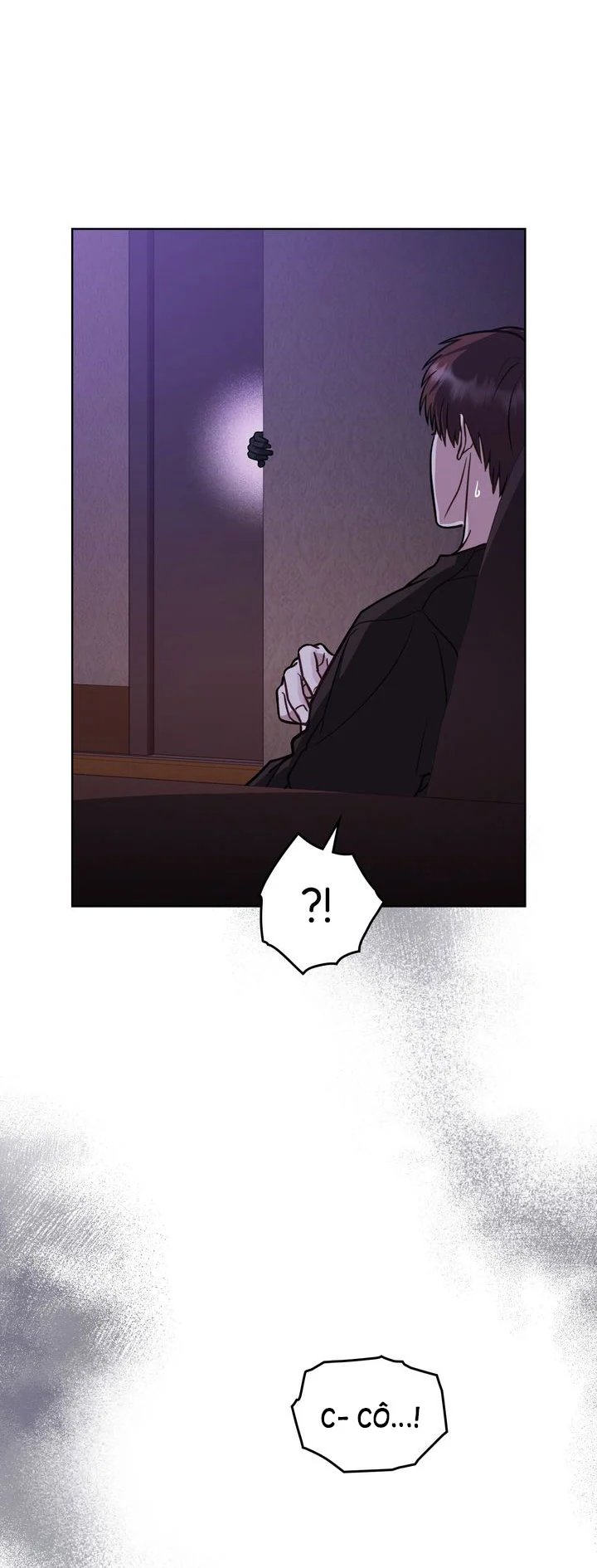 kẻ nghiệp dư chapter 20.5 11