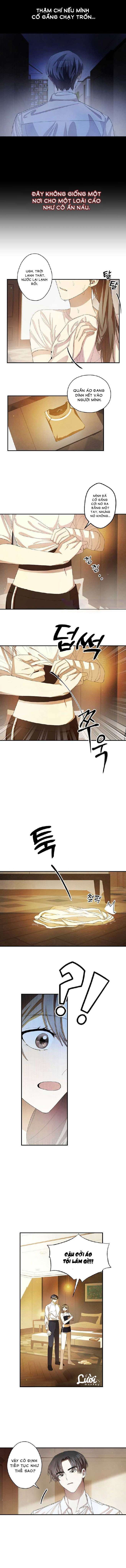 chuỗi thức ăn chapter 15 3