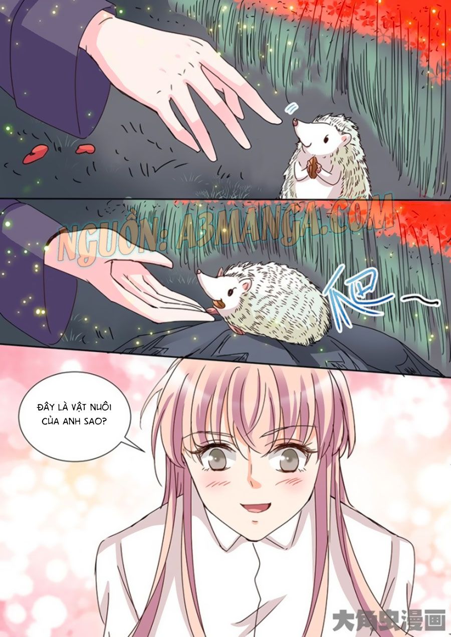 Bá Đạo Tổng Tài Yêu Ta chapter 56 - Trang 5