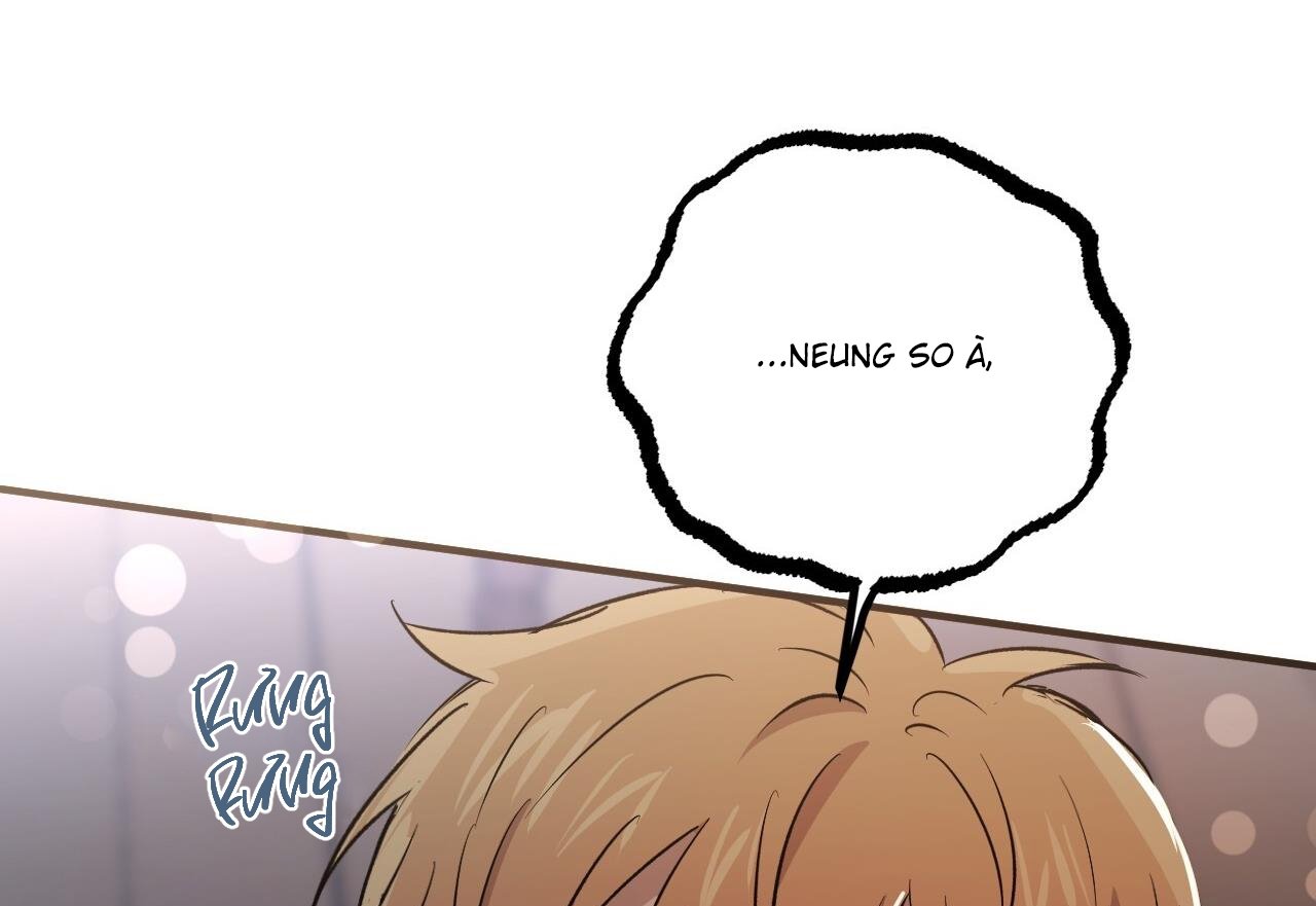 những chú thỏ của hapypy chapter 59 132