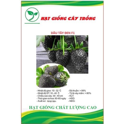 Hạt giống dâu tây đen chịu nhiệt CT290 - Gói 100 hạt