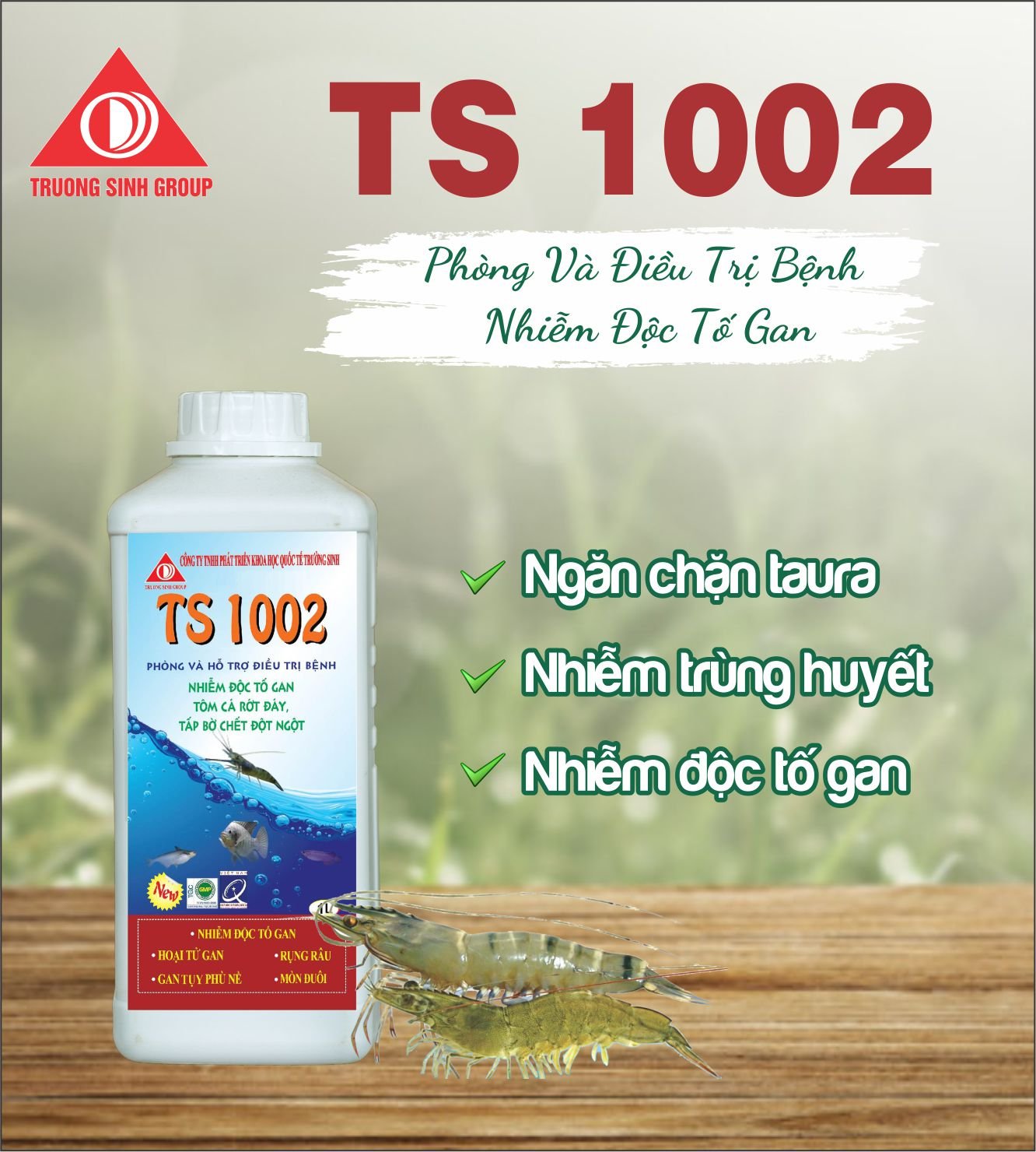TS 1002 - Điều trị nhiễm độc tố gan, gan thận phù nề, hoại tử gan