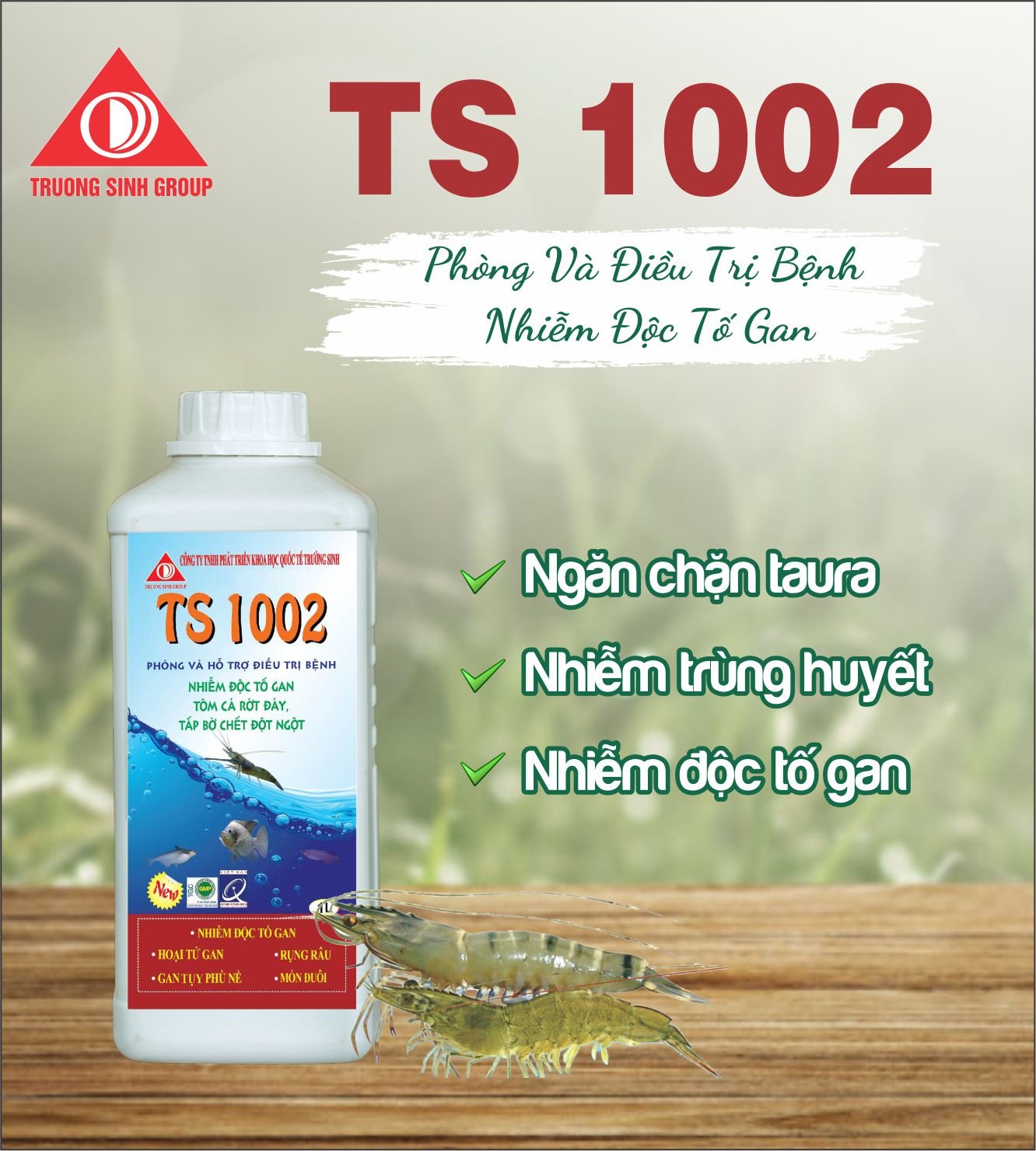 TS 1002 - Điều trị nhiễm độc tố gan, gan thận phù nề, hoại tử gan 