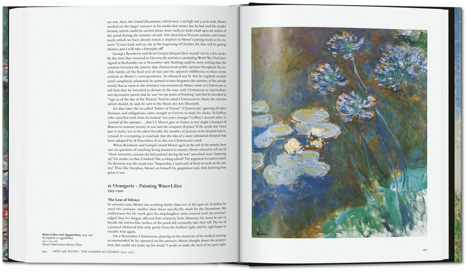 Monet. The Triumph of Impressionism