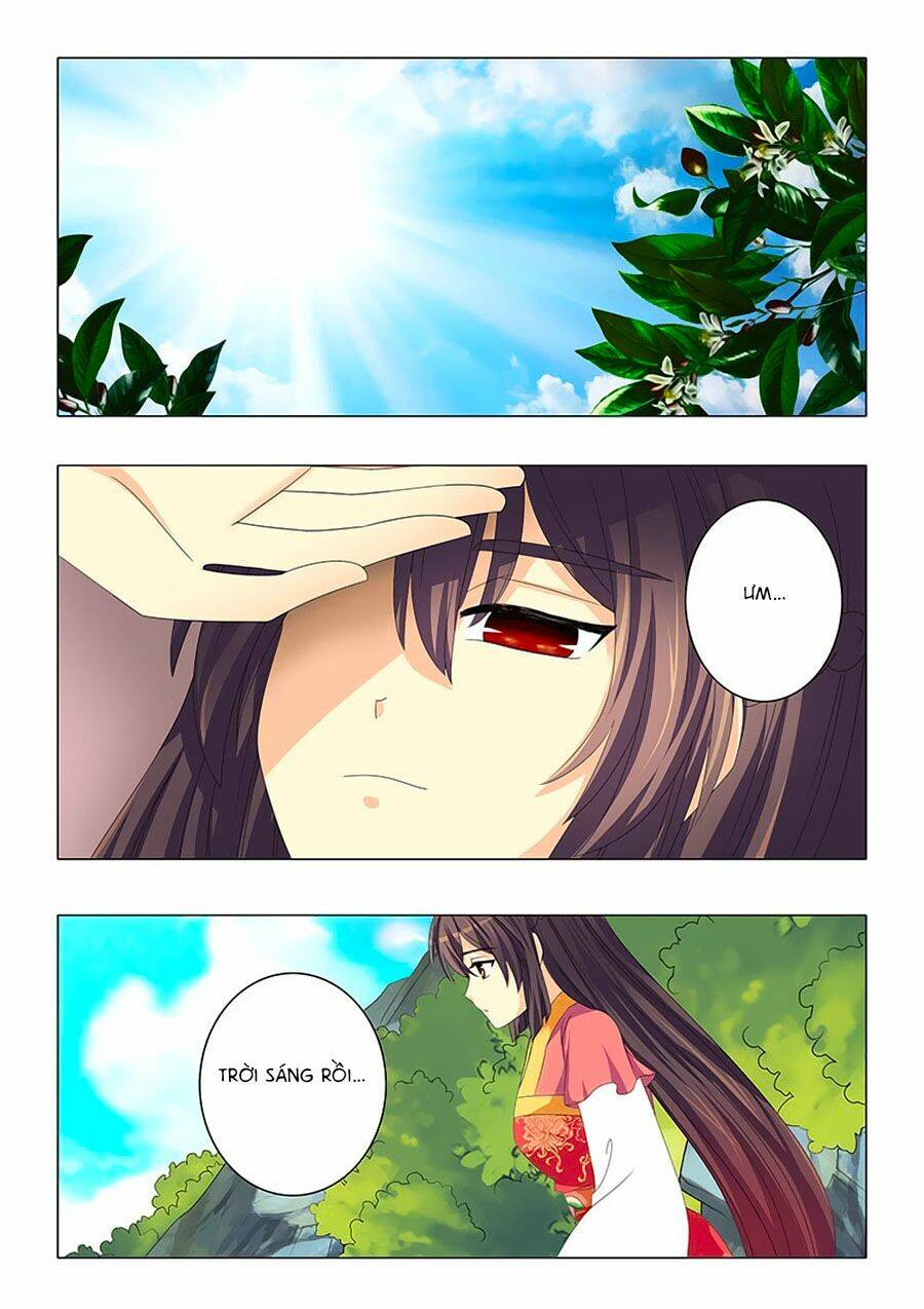 đống phù đã khai quang chapter 29 5
