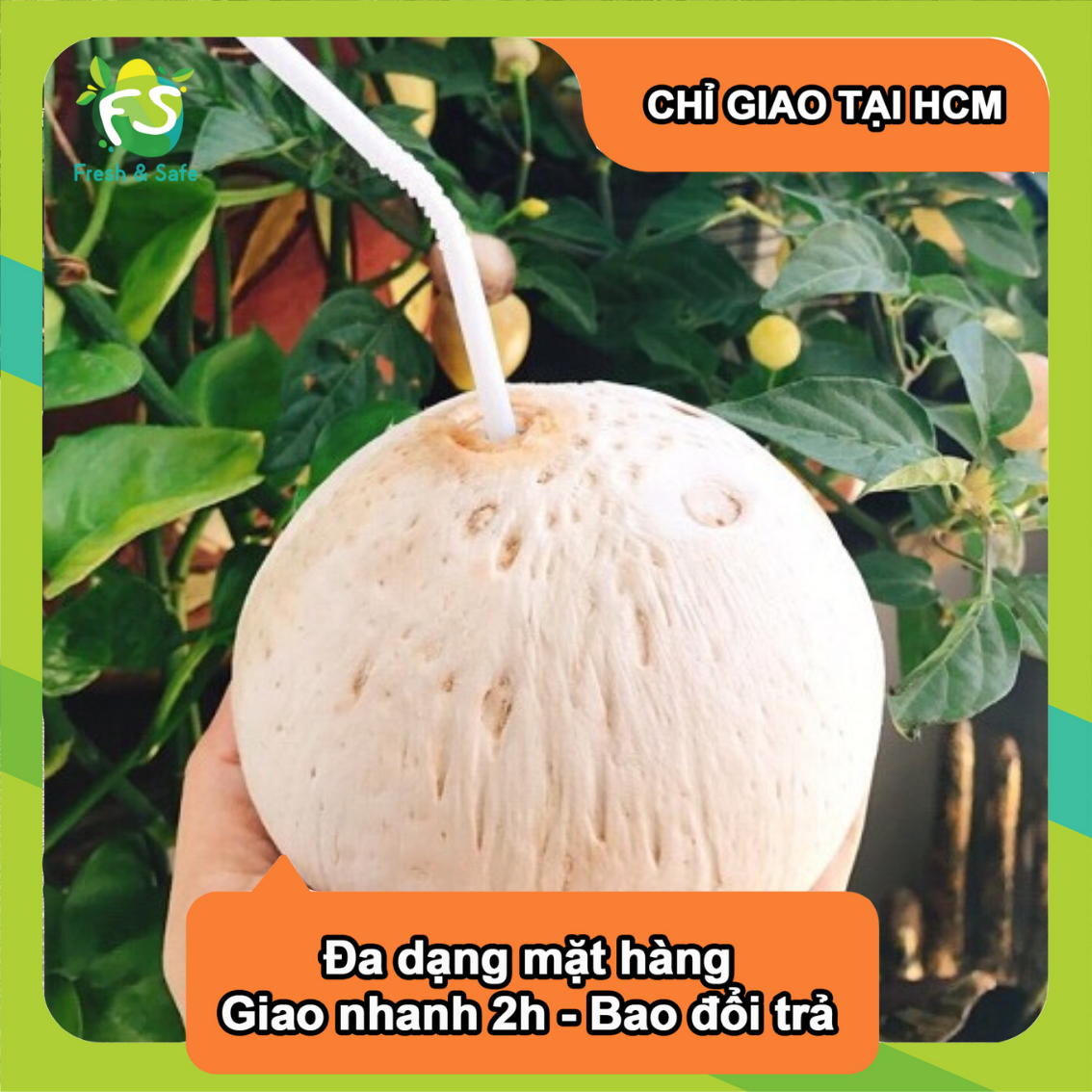 Dừa tiện lợi kèm ống hút - combo 3 trái