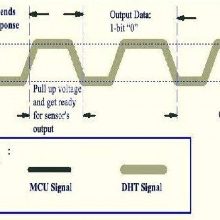 Module Cảm Biến Nhiệt Độ - Độ Ẩm DHT11