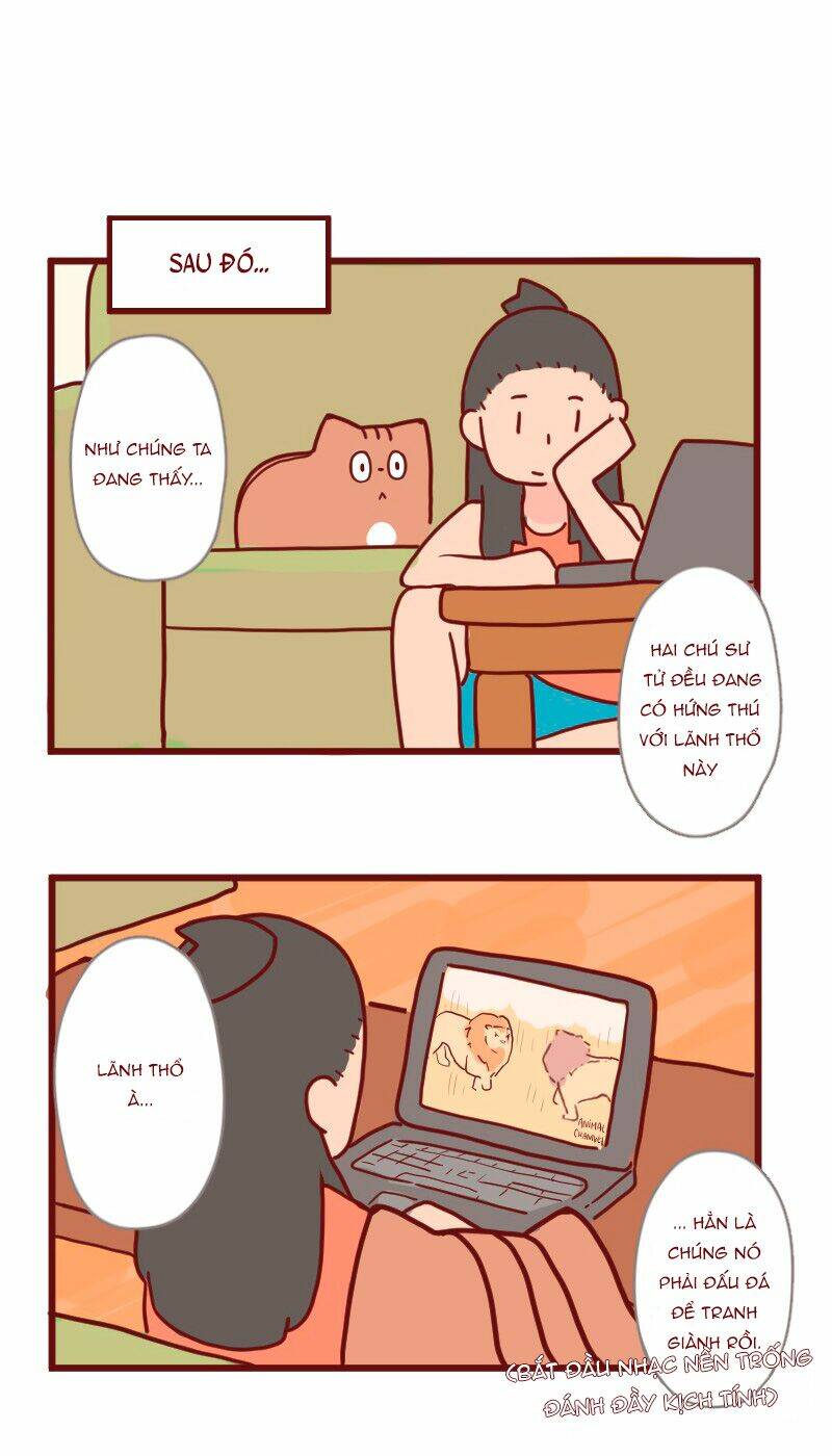 saphie: chú mèo một mắt chapter 14 7