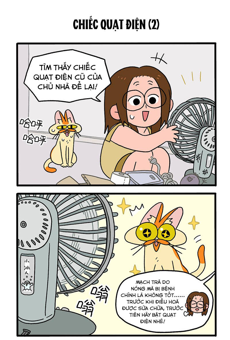 a mãn và mạch trà chapter 28 3