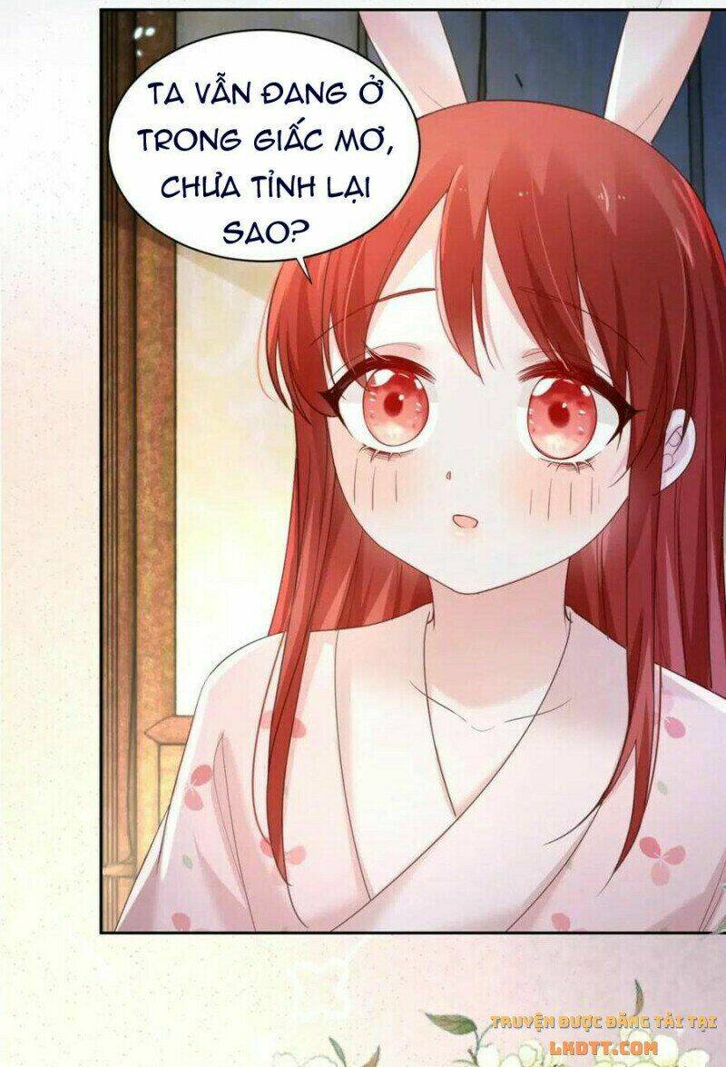 hắc hóa nam chính trực tuyến nuôi thỏ chapter 59 28