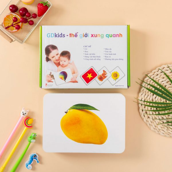 GDKIDS – Thế giới xung quanh Glenn Doman (100 Thẻ Flashcards)