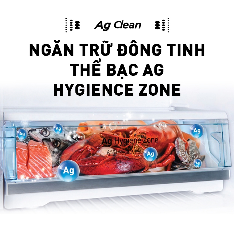 Tủ lạnh Panasonic 2 cánh ngăn đá trên NR-TV341BPS9 - Dung tích 306L - Hành chính hãng