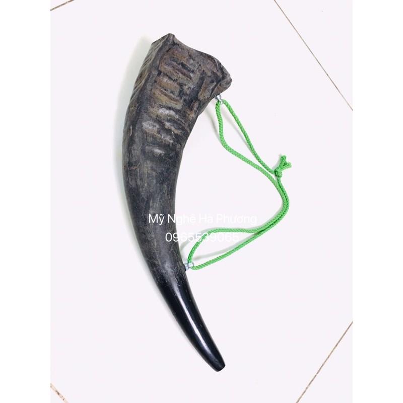 Sỉ Tù và sừng trâu thô size đại, vang cực lớn