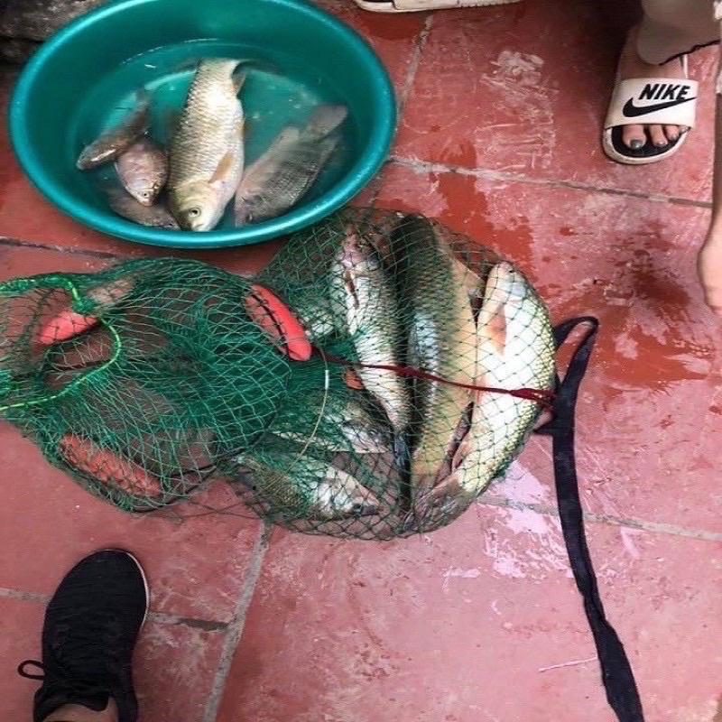 Mồi câu chép tàu hương dâu siêu nhậy giá rẻ y hình
