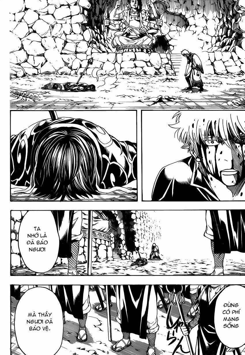 gintama - linh hồn bạc chapter 521 1