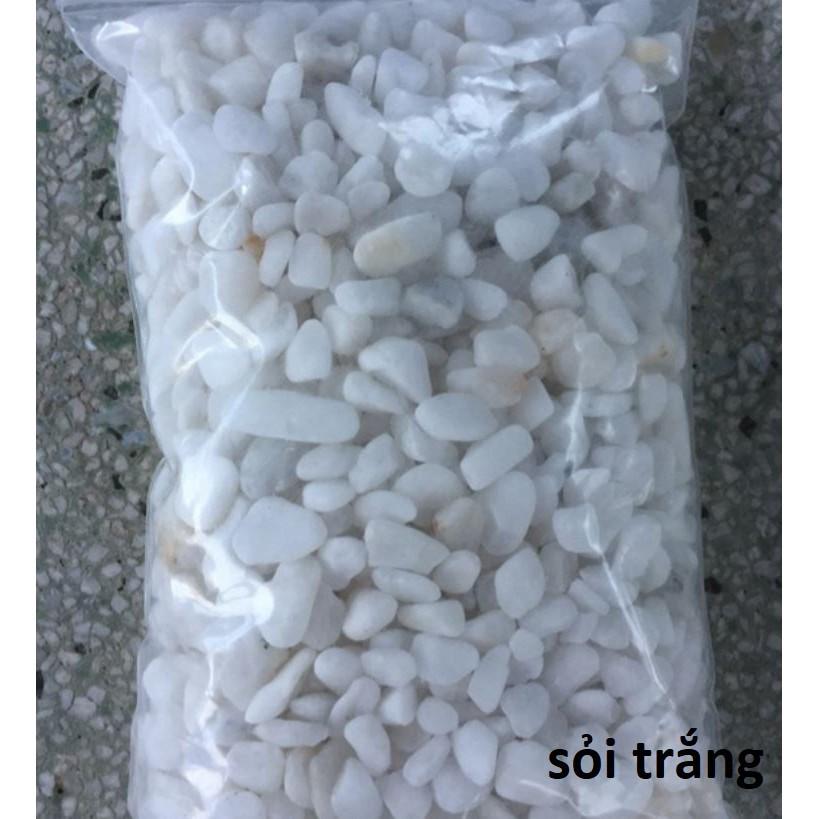 Đá trắng trang trí gốc cây, bể cá - túi 1kg