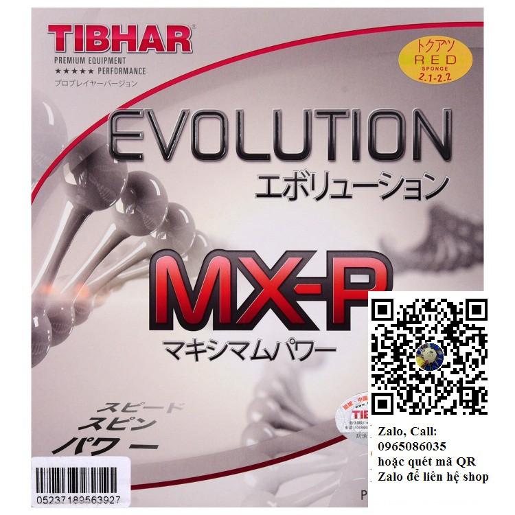 Mặt vợt bóng bàn TIBHAR EVOLUTION