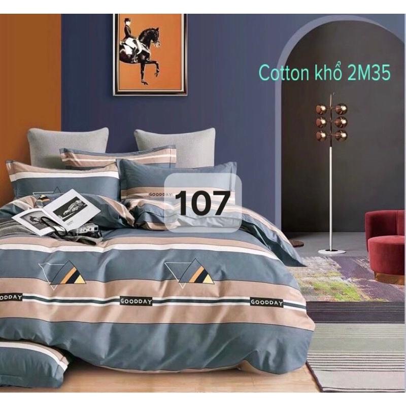 Sale Bộ chăn ga 100% cotton Hàn Quốc 5 món 1m đến 1m8 GỐI ÔM DÂY KHOÁ - 6