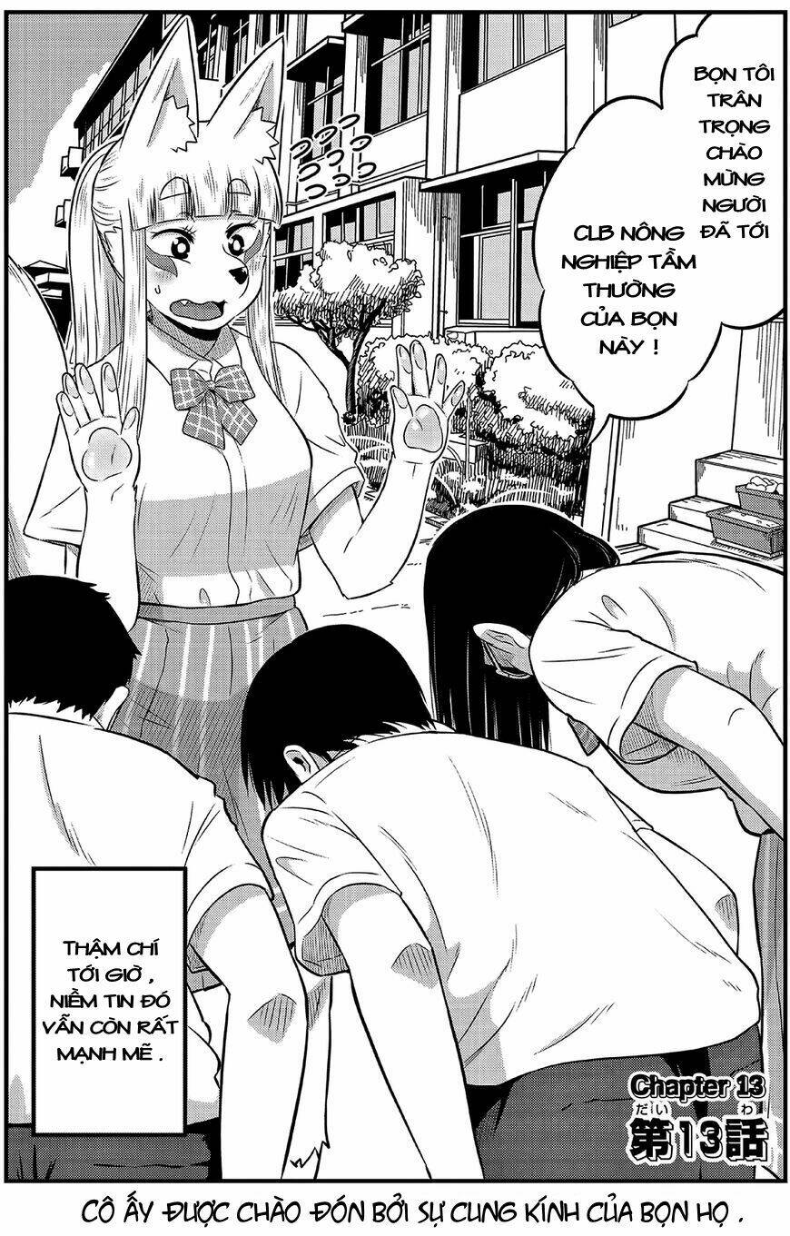 high school inari tamamo-chan ! chapter 13 3