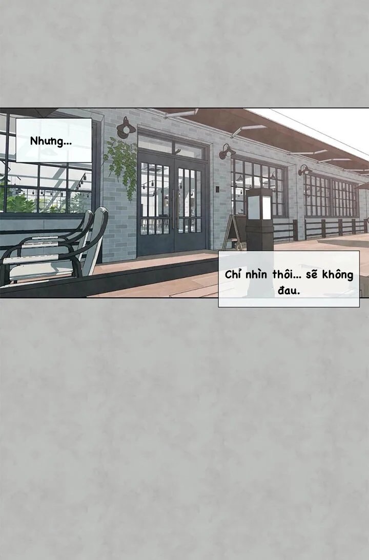 summer solstice point chapter 20 42