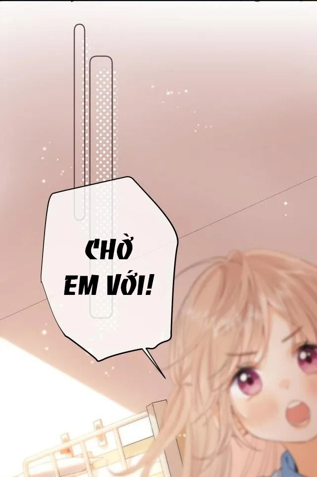 vụng trộm không thể giấu - mối tình thầm kín chapter 10 47