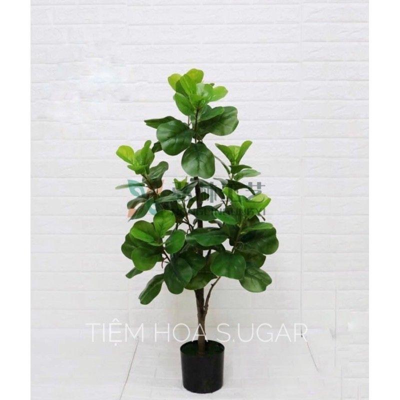 Cây bàng singapo giả cao cấp các kích cỡ