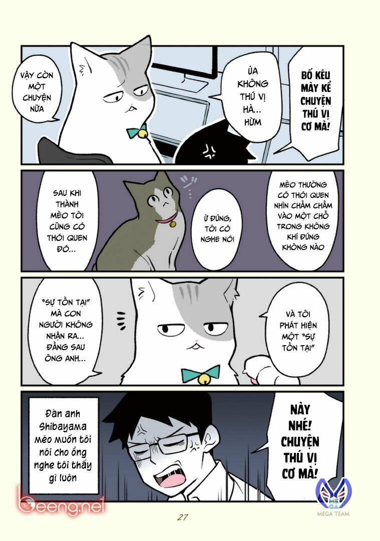 mèo công sở chapter 2 10